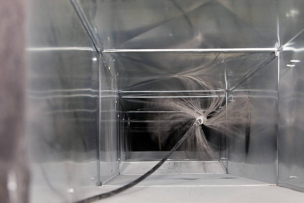 Air Duct Mold Removal in WA